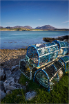 Lobster Pots