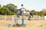 SBM_002817