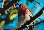 Robin