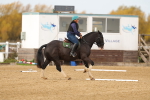 SBM_001016