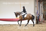 BPP_8226