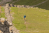 Ennerdale-1095