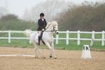 SBM_000772