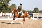 SBM_01660
