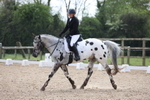 Class 5 - Novice 3 portfolio