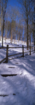 Millington Steps in Winter