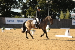 SBM_28590