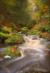 Wyming Brook