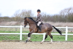 SBM_006951