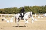 SBM_017445