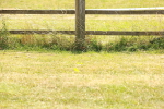 SBM_002926