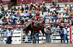 3HRodeo7-19-25_CFD_03939_