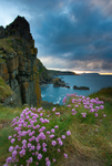 Dungloon (07055751)