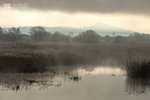 Glastonbury Tor through the mist