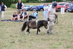WJ6_5675