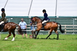 SBM_03755