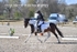 BPP_9838