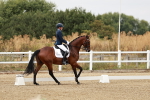 SBM_003553