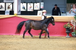 SBM_02243