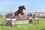BPP_7481
