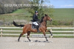 BPP_3006