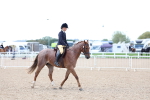 SBM_10106