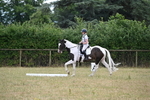WJ6_5392