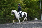 WJ5_9525