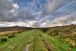 Ancient Tramway looking towards Haytor