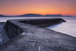 The Cobb