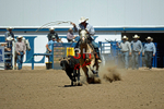 3HRodeo8-11-25_PRCASteer_06826_