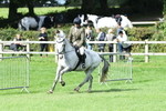 SBM_46896