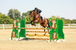 SBM_001652