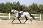 SBM_016837