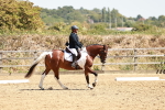 SBM_002825