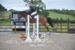 JAC_6667