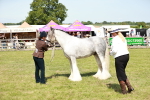 SBM_08569