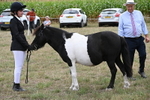 WJ6_5521