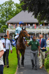 170623-Race 3-Quickthorn-0487