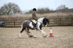SBM_007949
