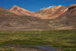Wetland on the Altiplano