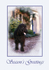 X4  Labradoodle at Home (1)
