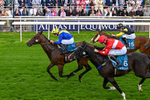 130626-Race 6-Point Of Contact-0654
