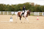 SBM_001853