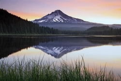 Oregon State portfolio