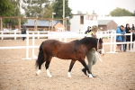 SBM_20239