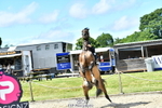 260630A-152231-03397