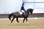 SBM_000778
