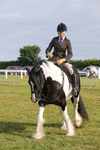 Class 27:  Ridden Native/Trad Coloured Horse portfolio