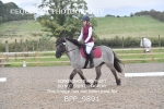 BPP_9891